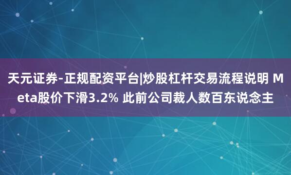 天元证券-正规配资平台|炒股杠杆交易流程说明 Meta股价下滑3.2% 此前公司裁人数百东说念主